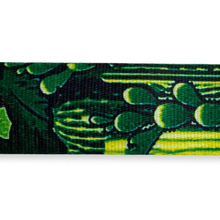 Load image into Gallery viewer, CACTUS GARDEN - Roodle Australia